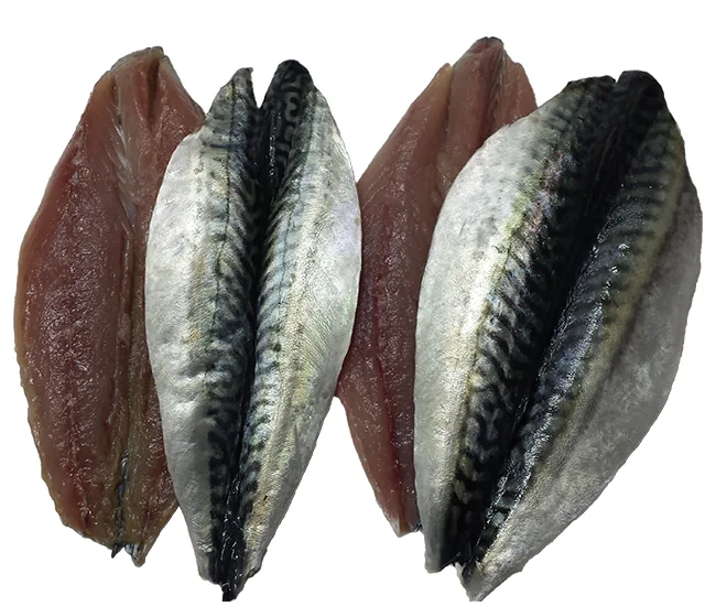 Mackerel fillets showing silver striped skin and dark flesh