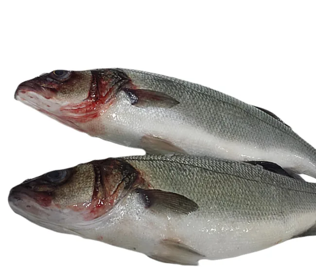 Two whole silver-skinned fish