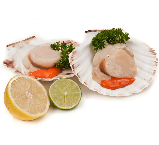 A selection of shellfish on ice